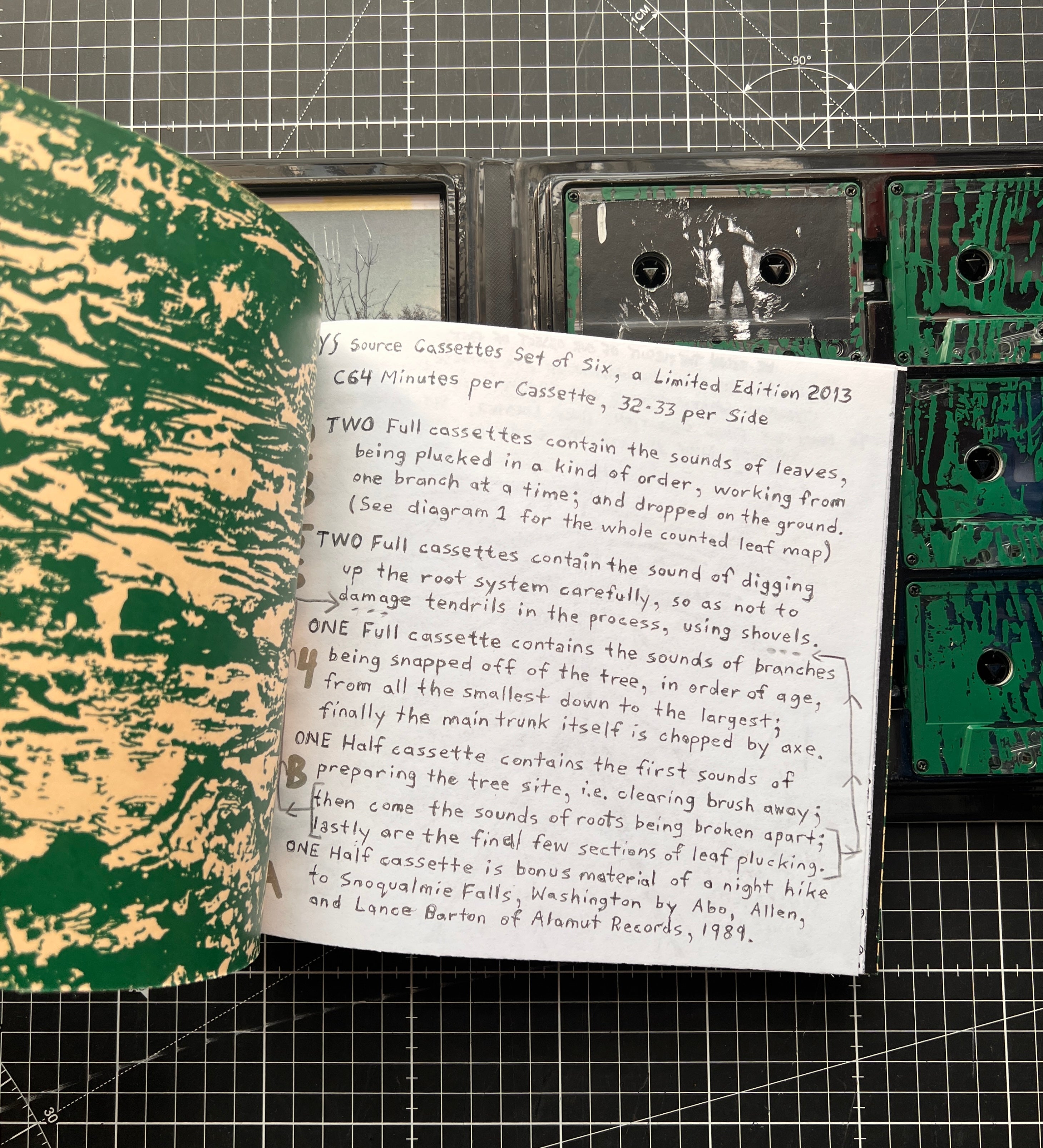 Yeast Culture - IYS: Field Tapes