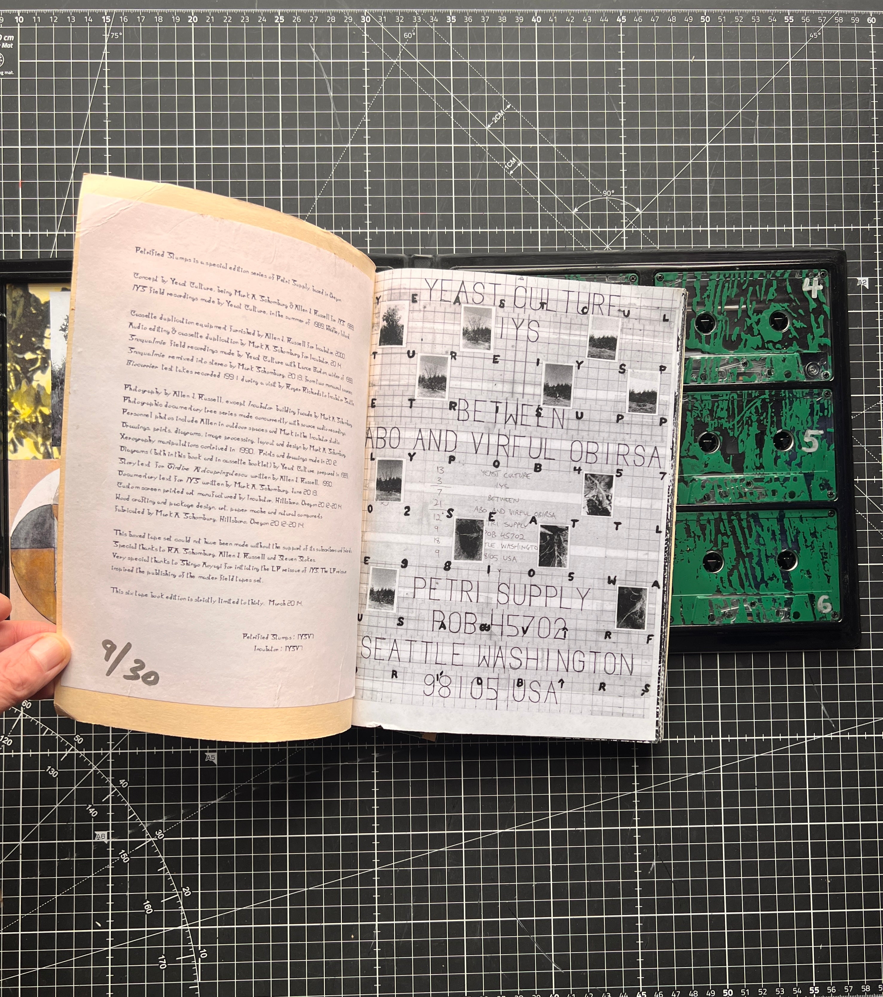 Yeast Culture - IYS: Field Tapes