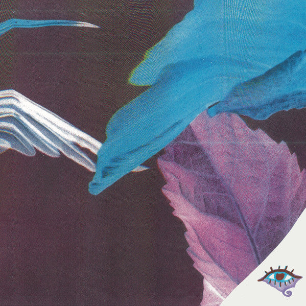 Troth - Forget The Curse