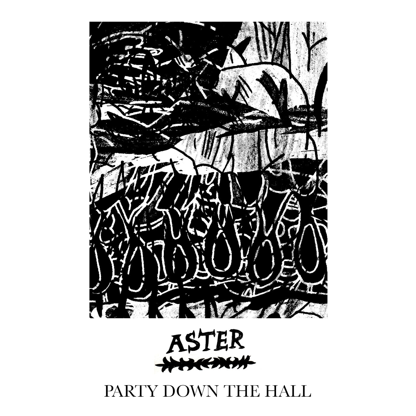 Aster - Party Down the Hall