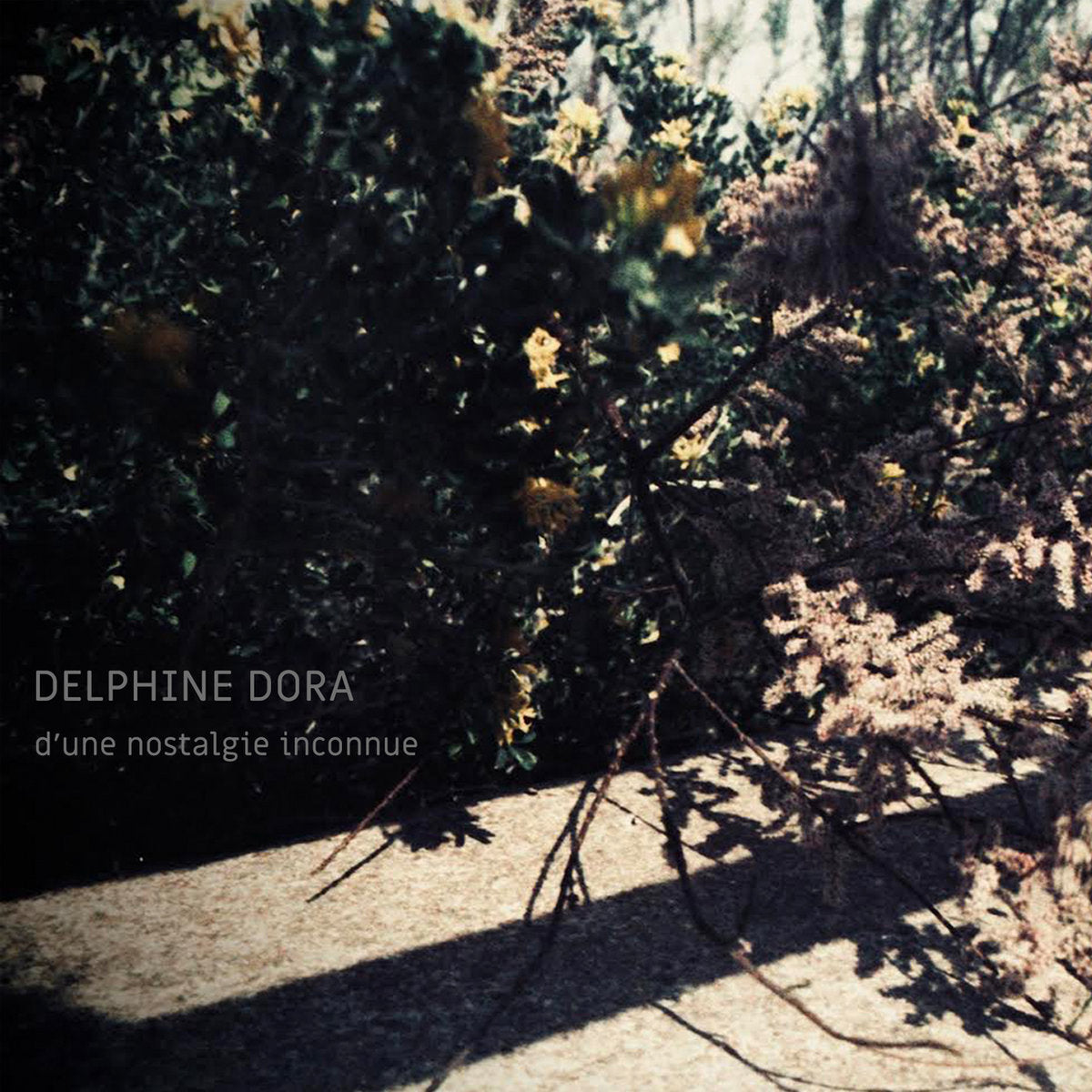Delphine Dora - D'une nostalgie inconnue