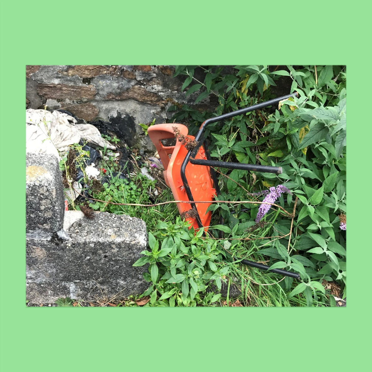 Gamba - Grifedom III