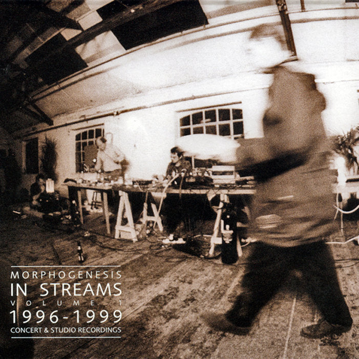 Morphogenesis - In streams (Vol. 1)