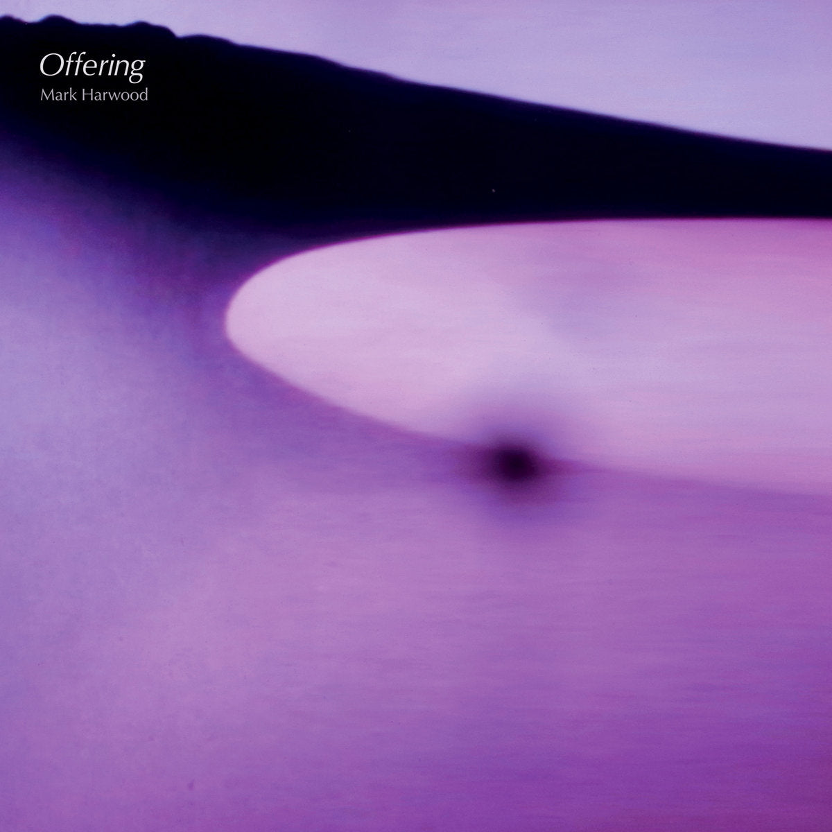 Mark Harwood - Offering