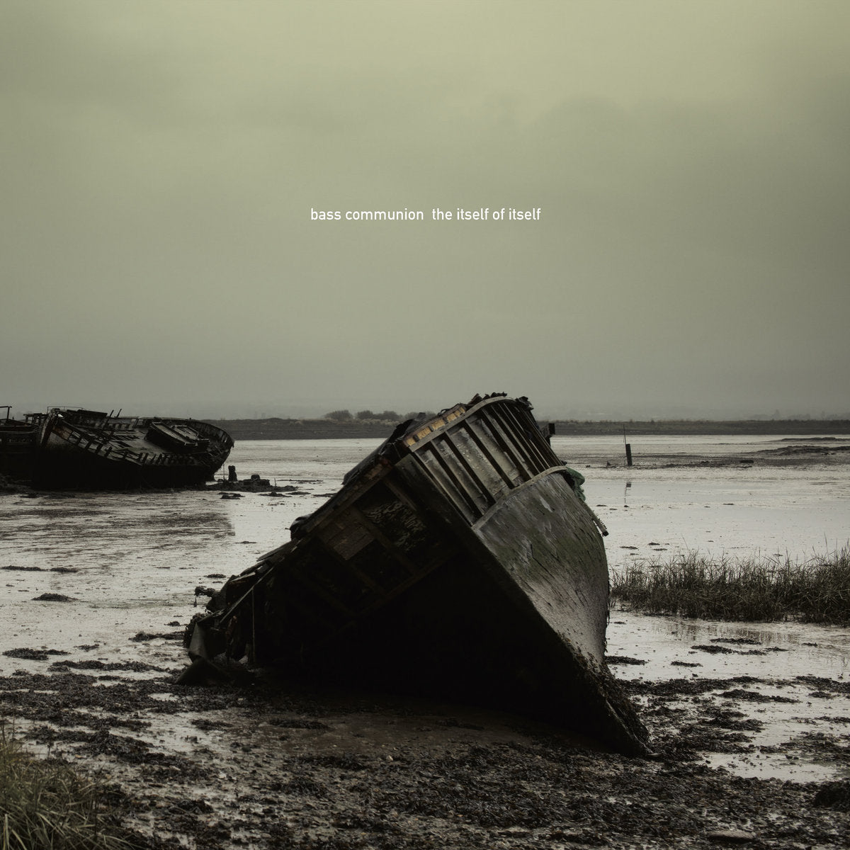 Bass Communion - The Itself of Itself