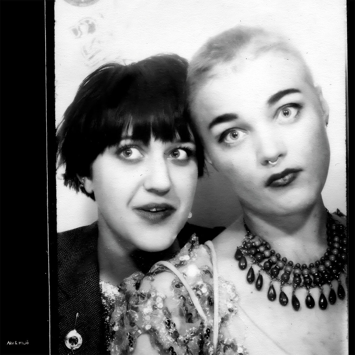 Arv & Miljö – Arv & Miljö