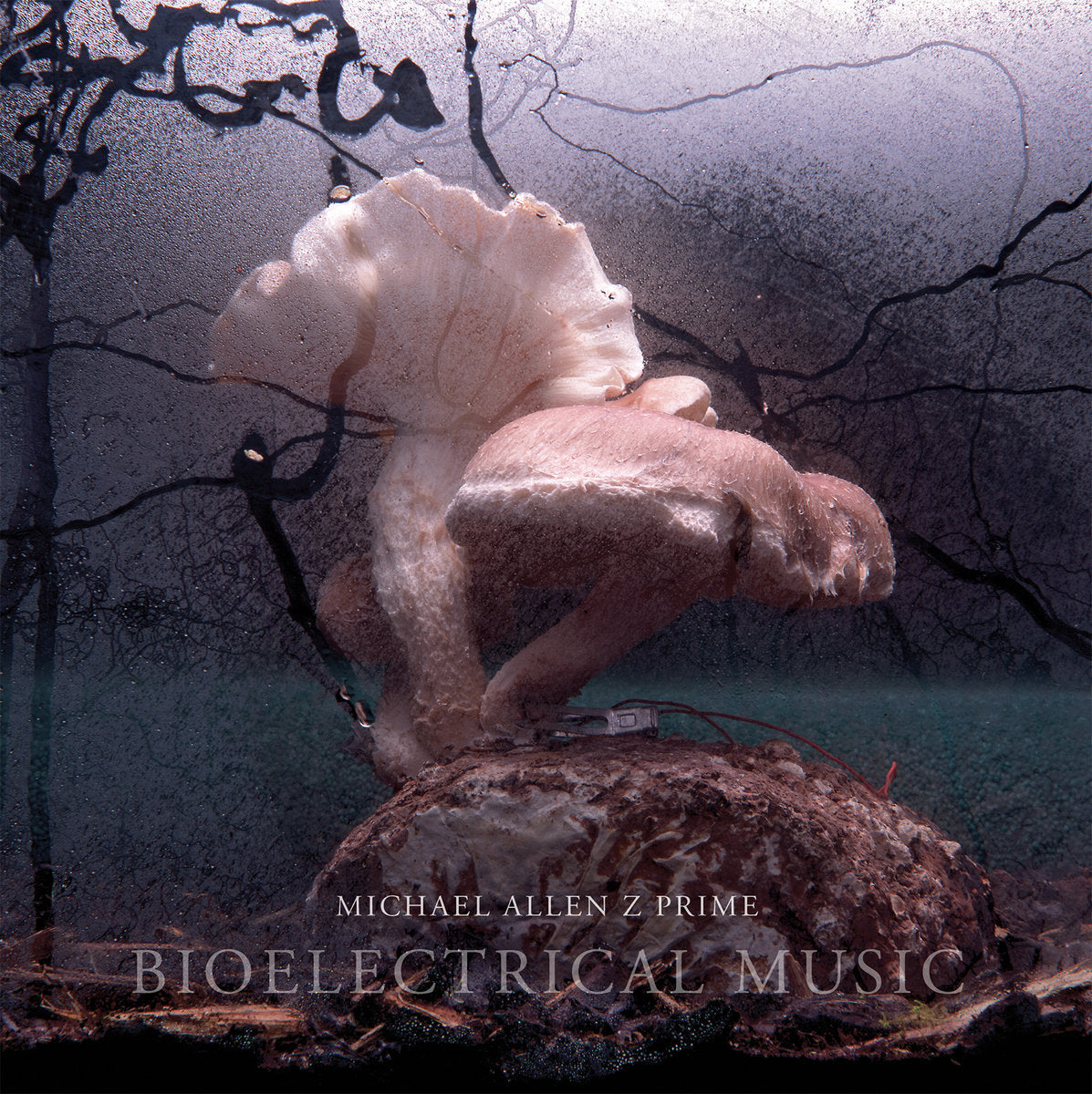 Michael Allen Z Prime - Bioelectrical Music