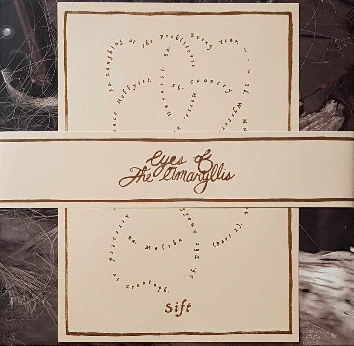 Eyes of the Amaryllis - Sift