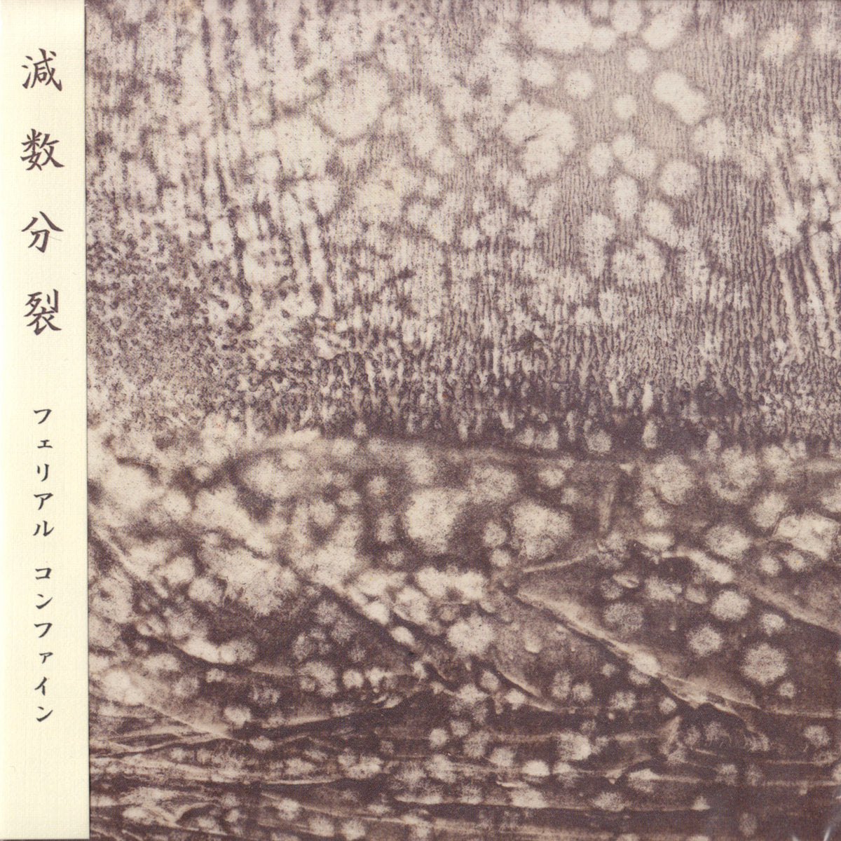 Ferial Confine - Meiosis