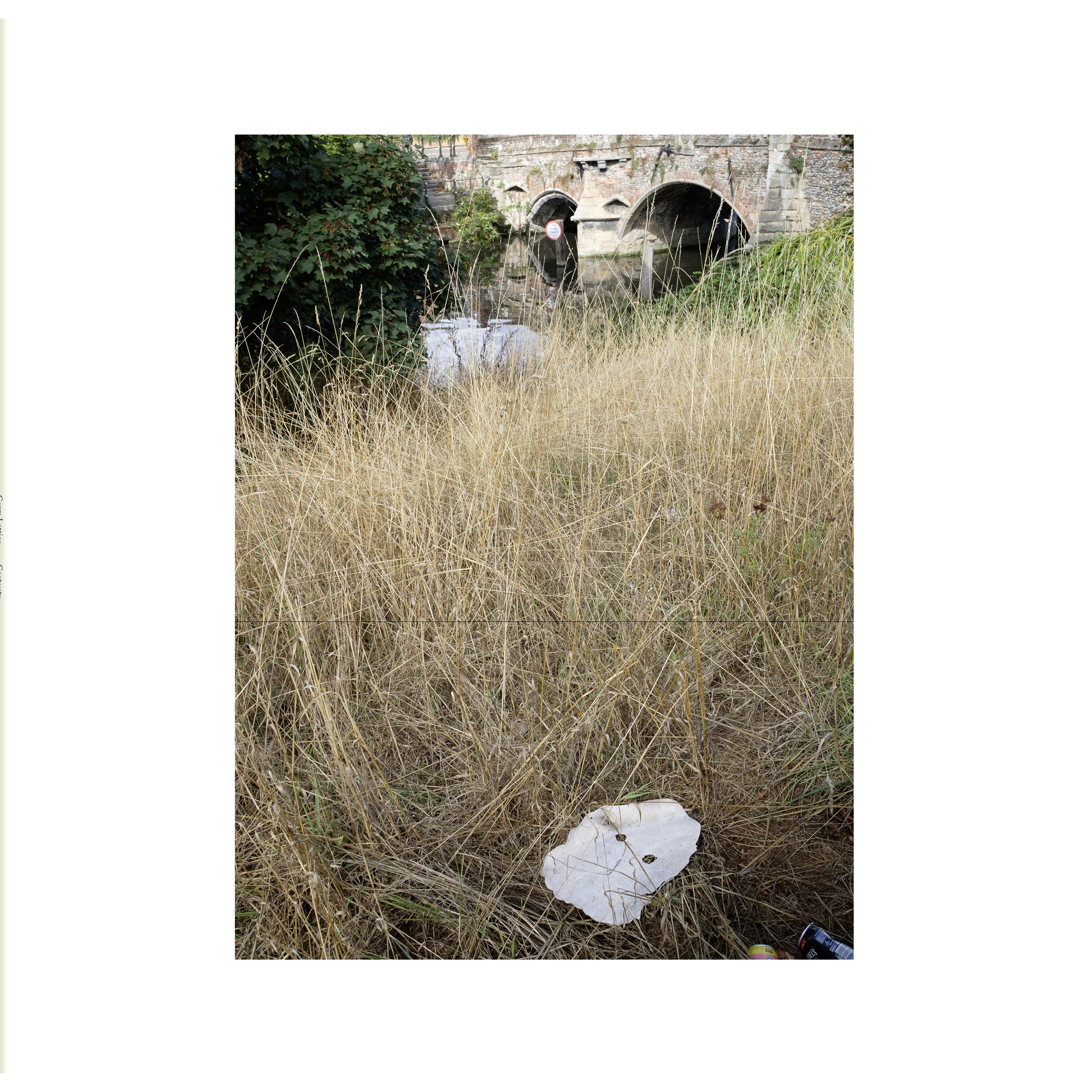 Germ Lattice - Corpusty