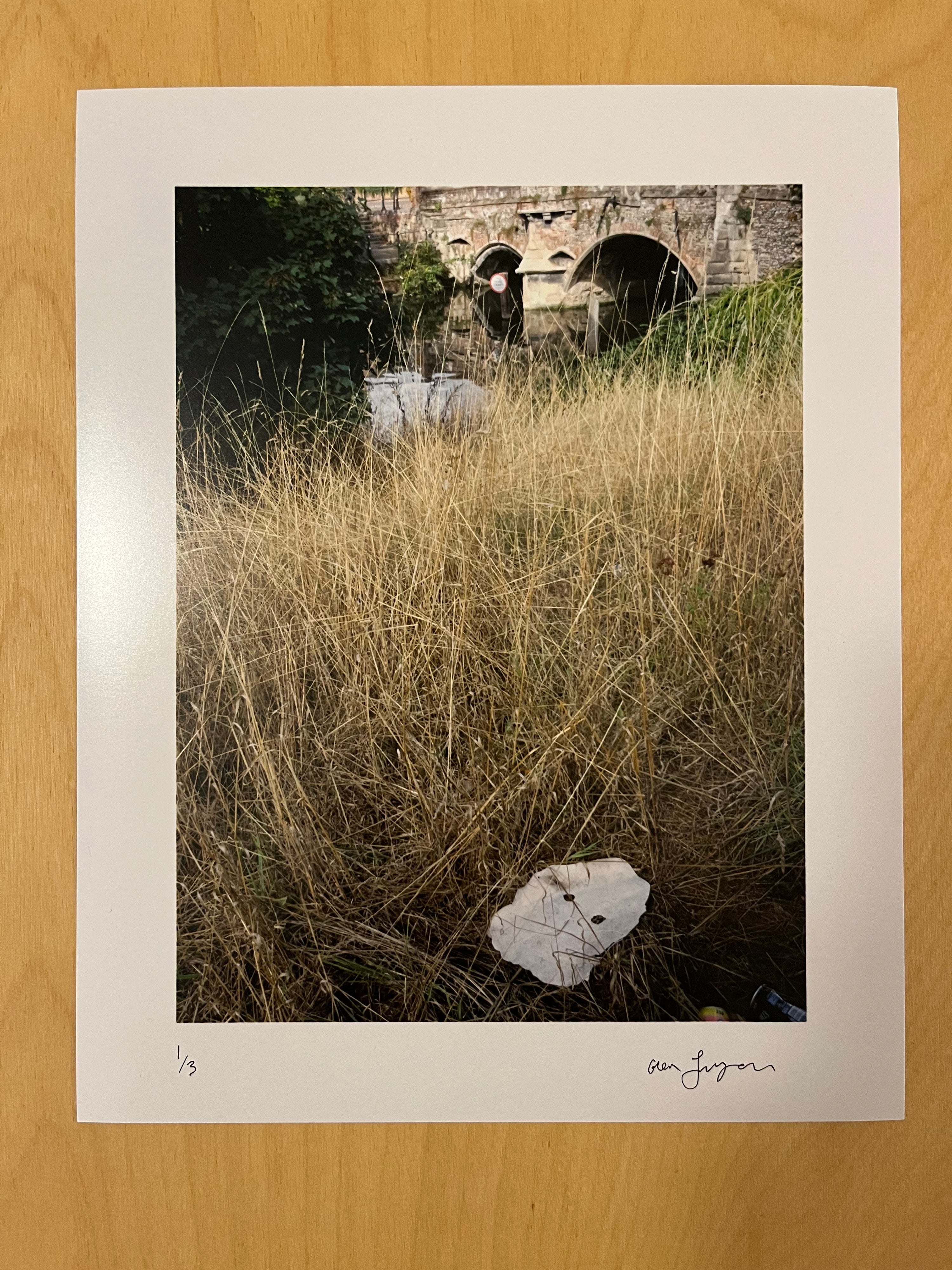 Germ Lattice - Corpusty